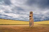 Texas Moai_36736